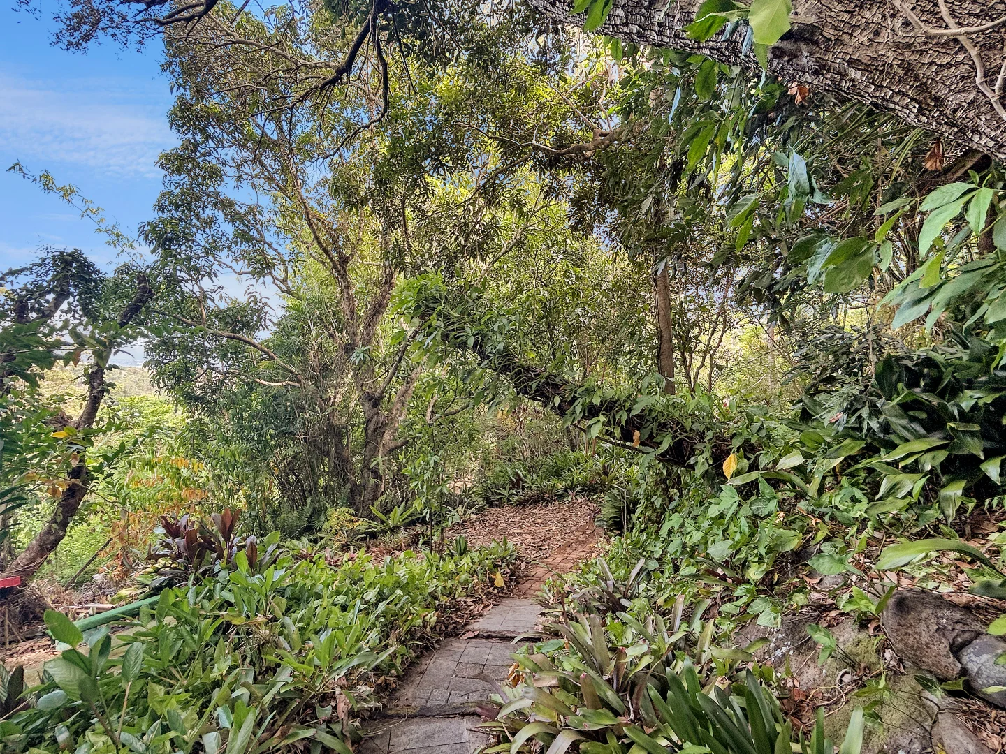 Additional image 23 of 31-33 Camelot Road, Goonellabah NSW 2480