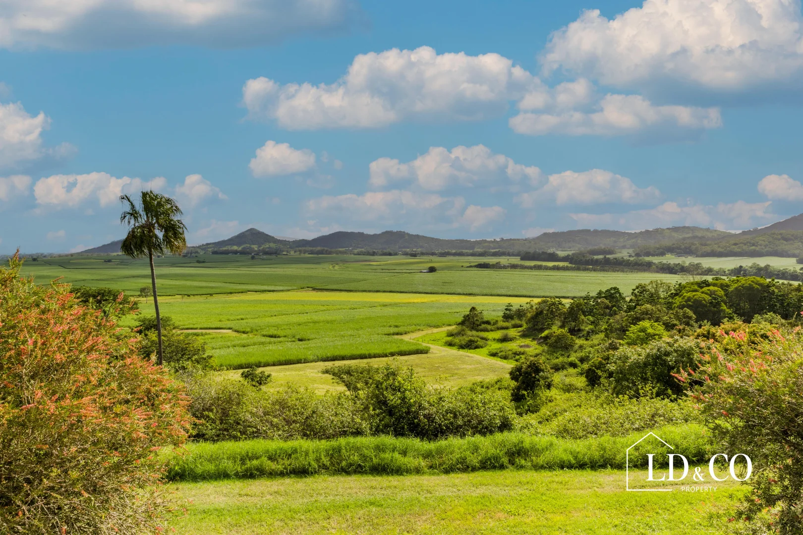 Additional image 13 of 254 Mapalo Road, The Leap QLD 4740