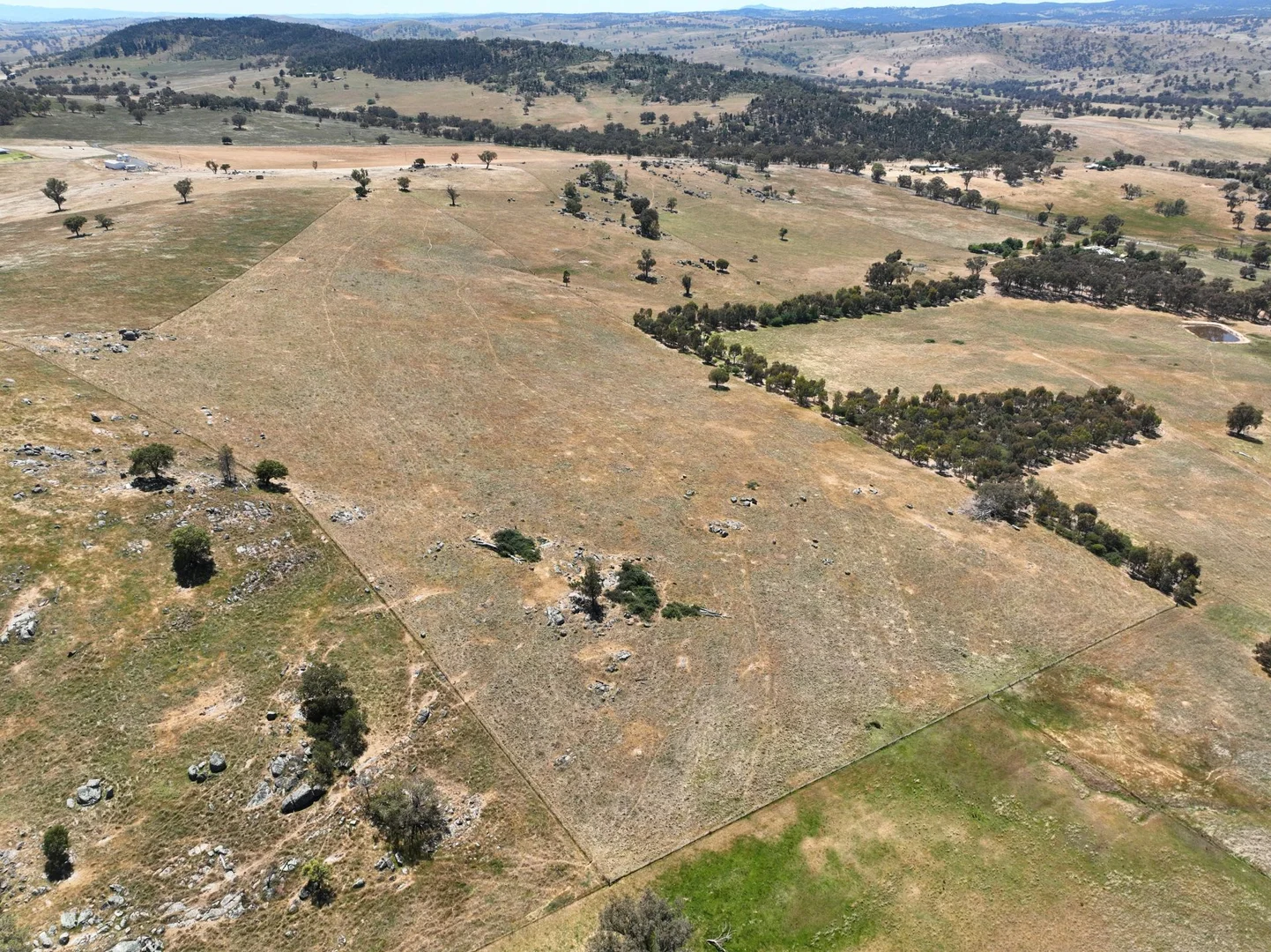 Additional image 9 of 1432 Pine Mount Road, Darbys Falls NSW 2793