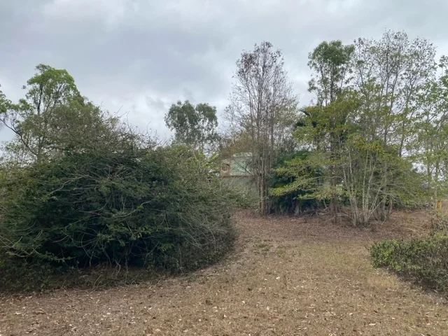 Additional image 3 of 630 Midge Point Road, Bloomsbury QLD 4799