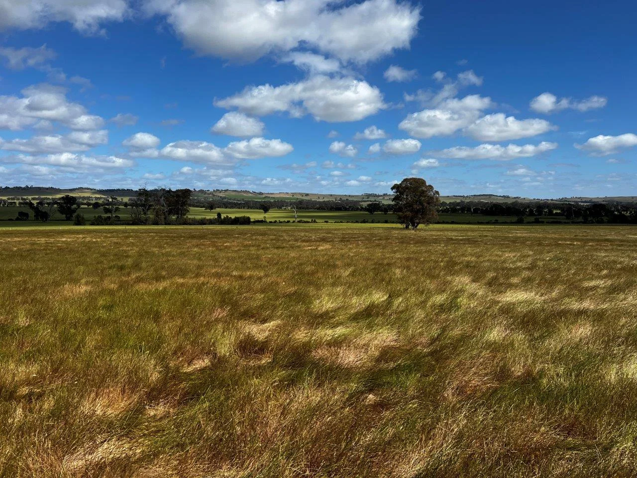 Additional image 16 of CA59D&59C Plain Road, Heathcote VIC 3523