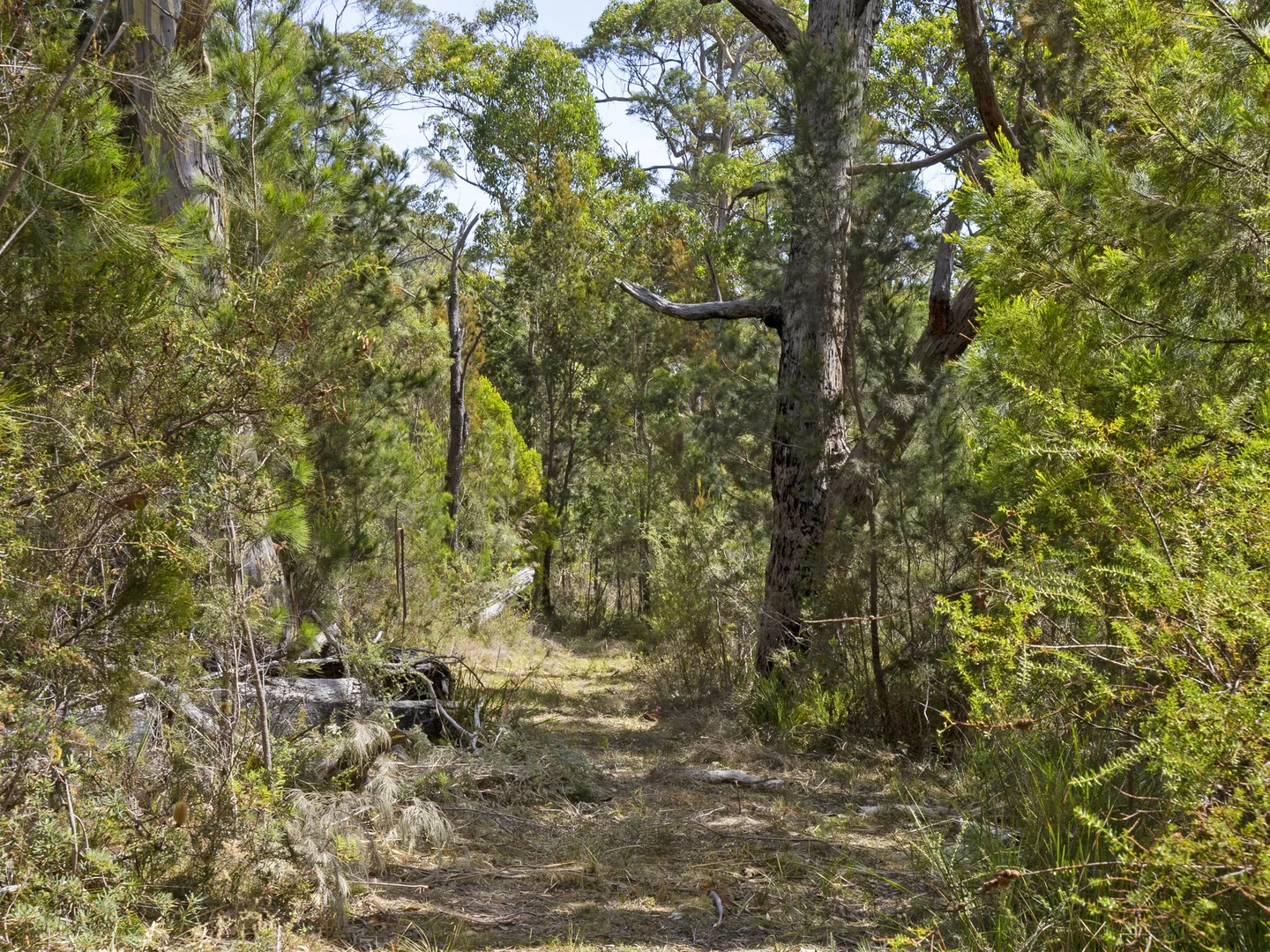 Additional image 8 of 2 and 3 White Beach Road, White Beach TAS 7184