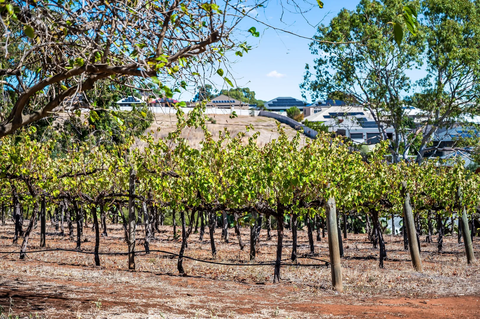 Additional image 14 of 5 Para Valley Road, Golden Grove SA 5125