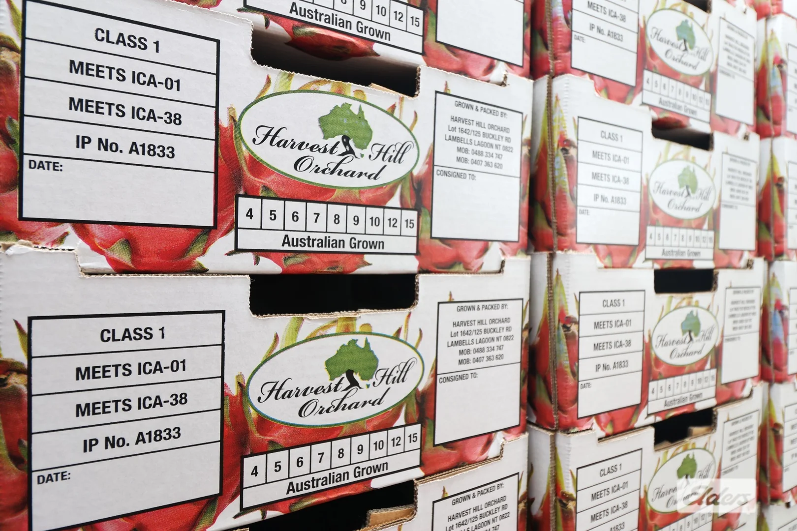 Additional image 2 of 125 Buckley Road, Lambells Lagoon NT 0822