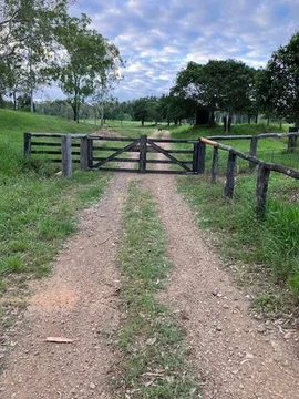 Additional image 31 of 142 PERRY RIVER FARMS RD, Morganville QLD 4671