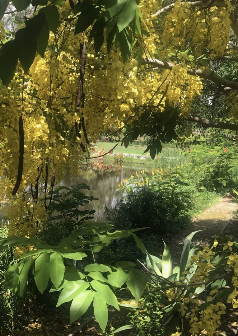 Additional image 23 of 6 Mac Stocks Drive, Dundowran QLD 4655