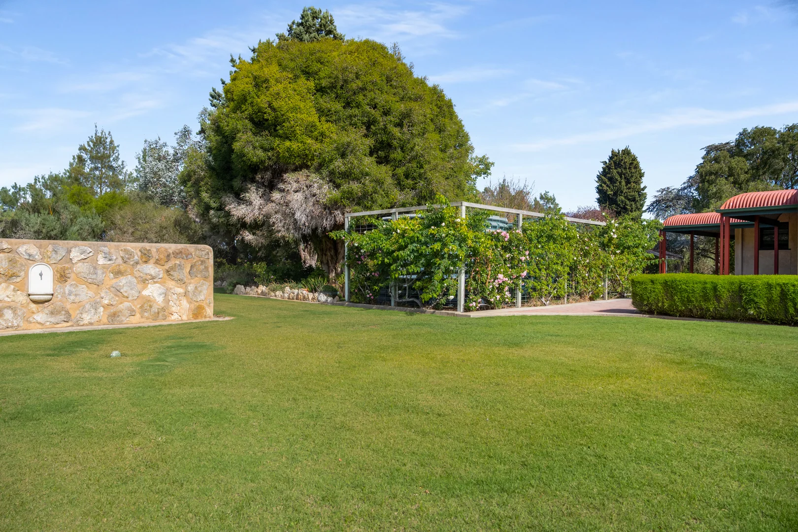 Additional image 30 of 14687 Riddoch Hwy, Coonawarra SA 5263