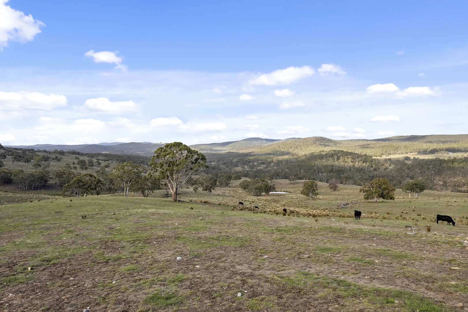 Additional image 29 of 507 Harolds Cross Road, Captains Flat NSW 2623