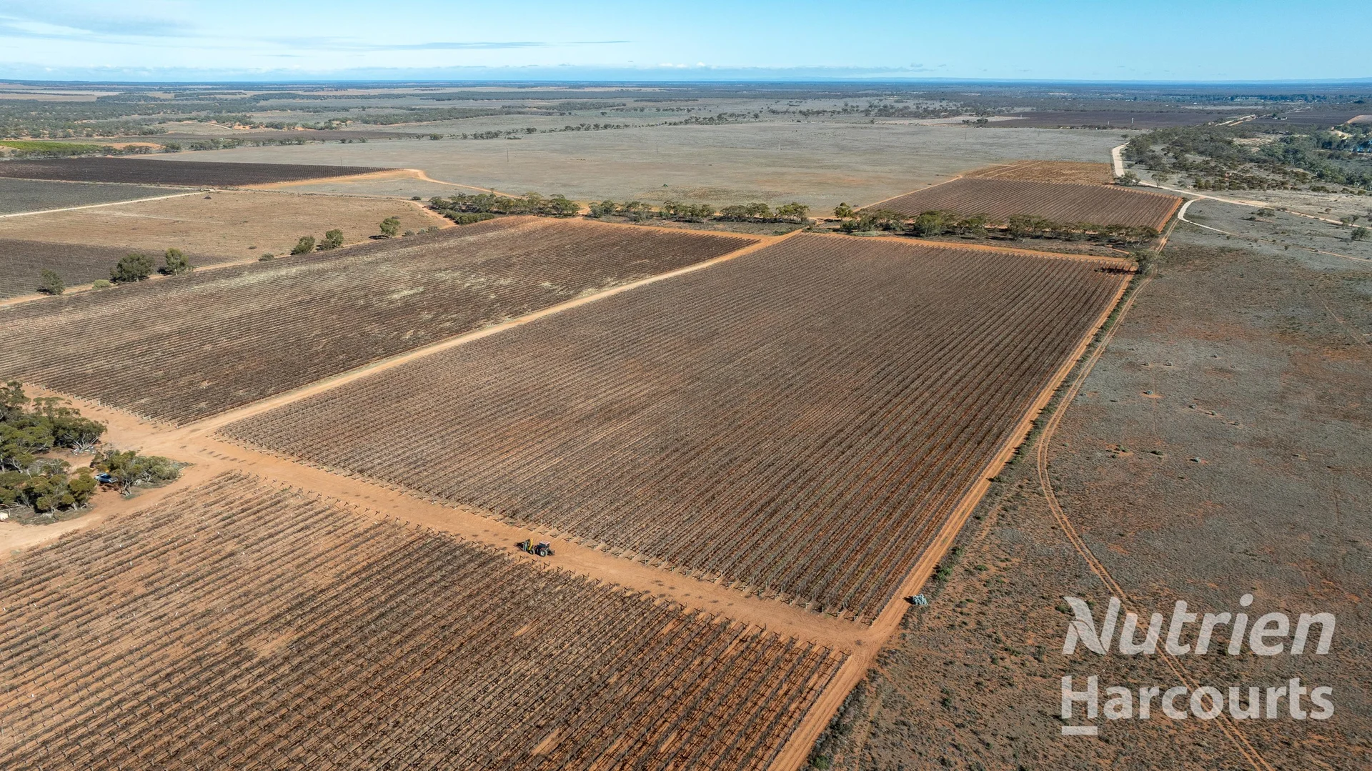 Additional image 10 of 126 Riverboat Road, Cadell SA 5321