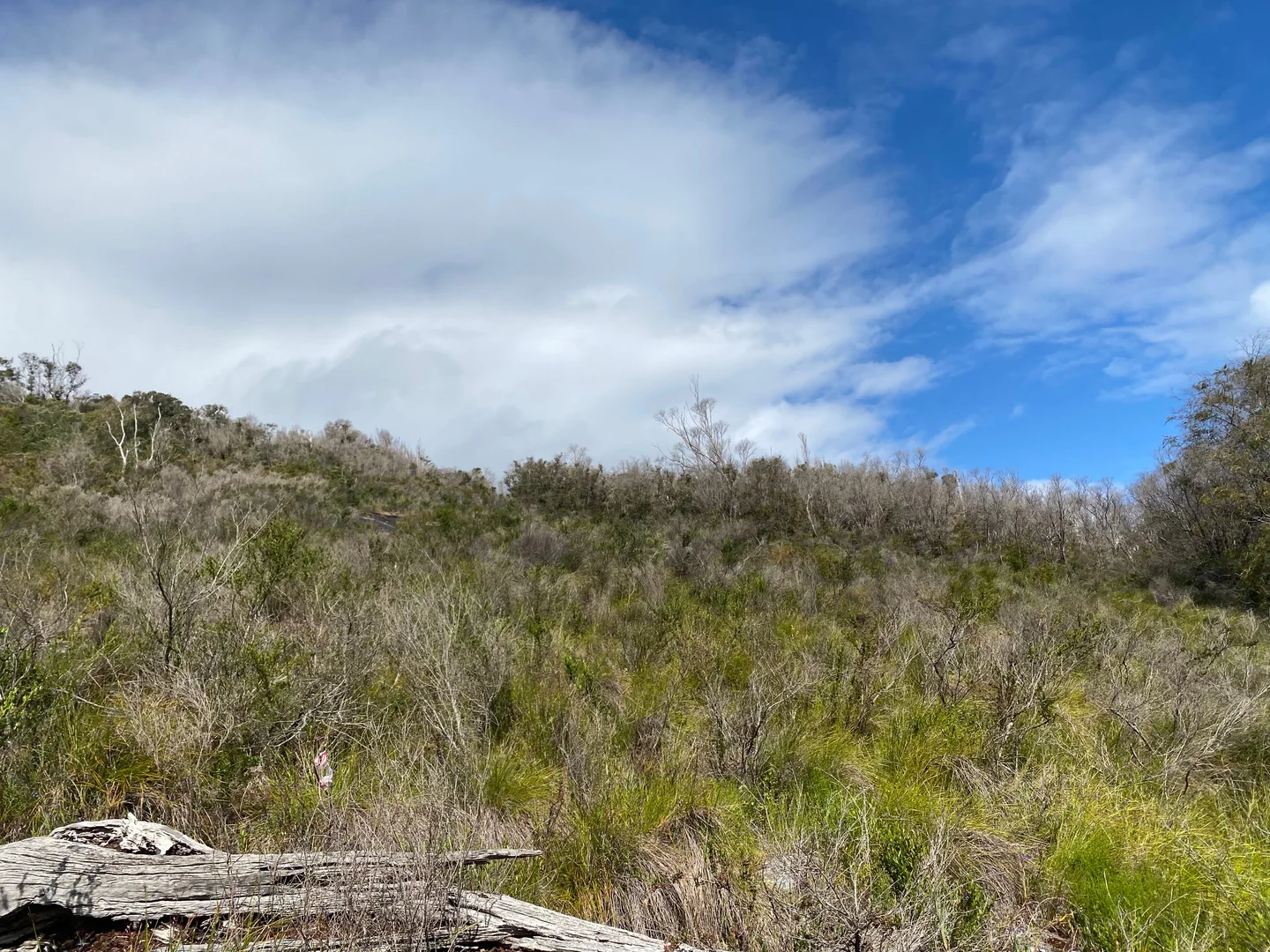 Additional image 6 of 87 Middleton Close, Shadforth WA 6333