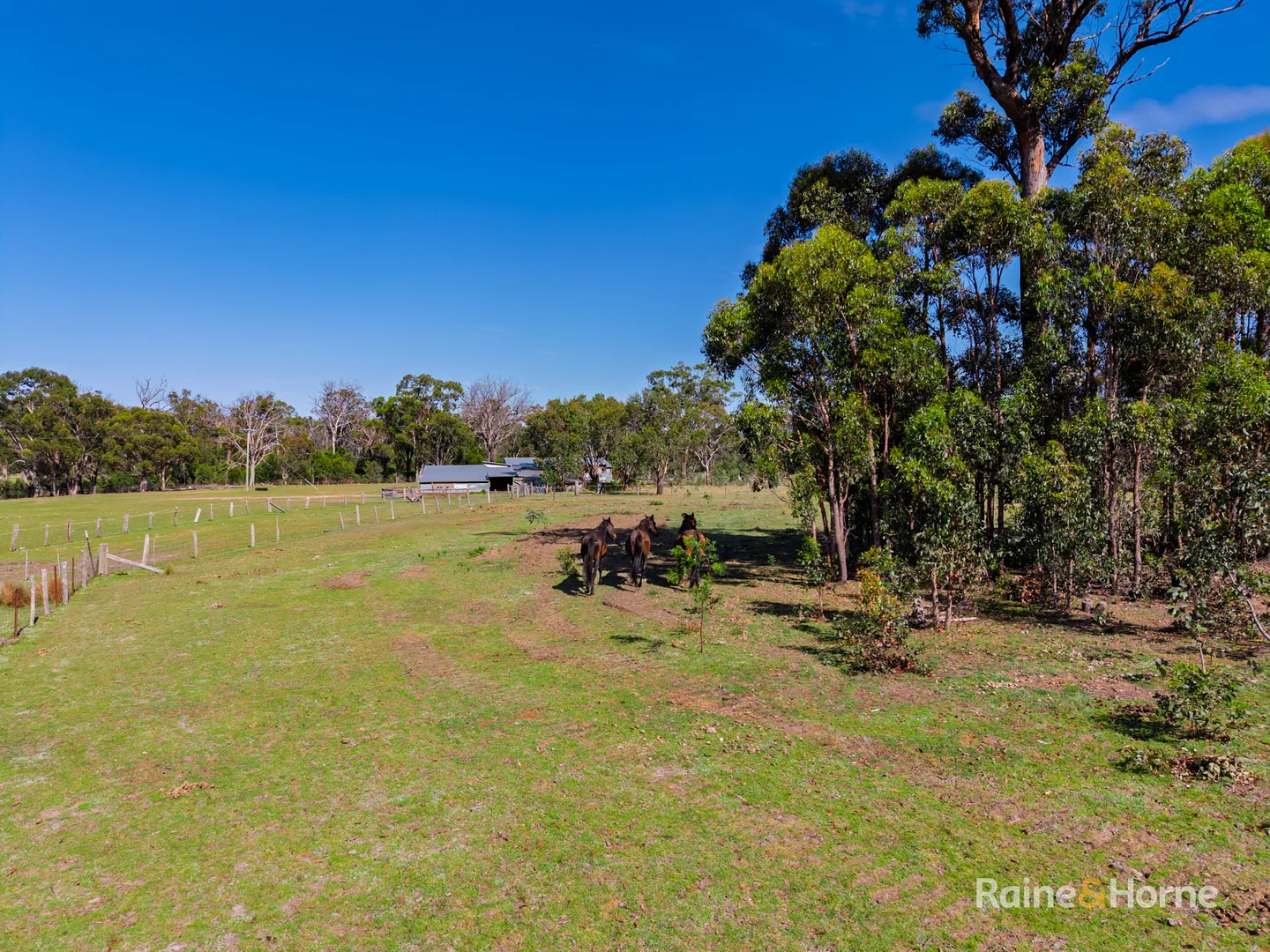 Additional image 13 of 470 Silent Grove Road, Torrington NSW 2371