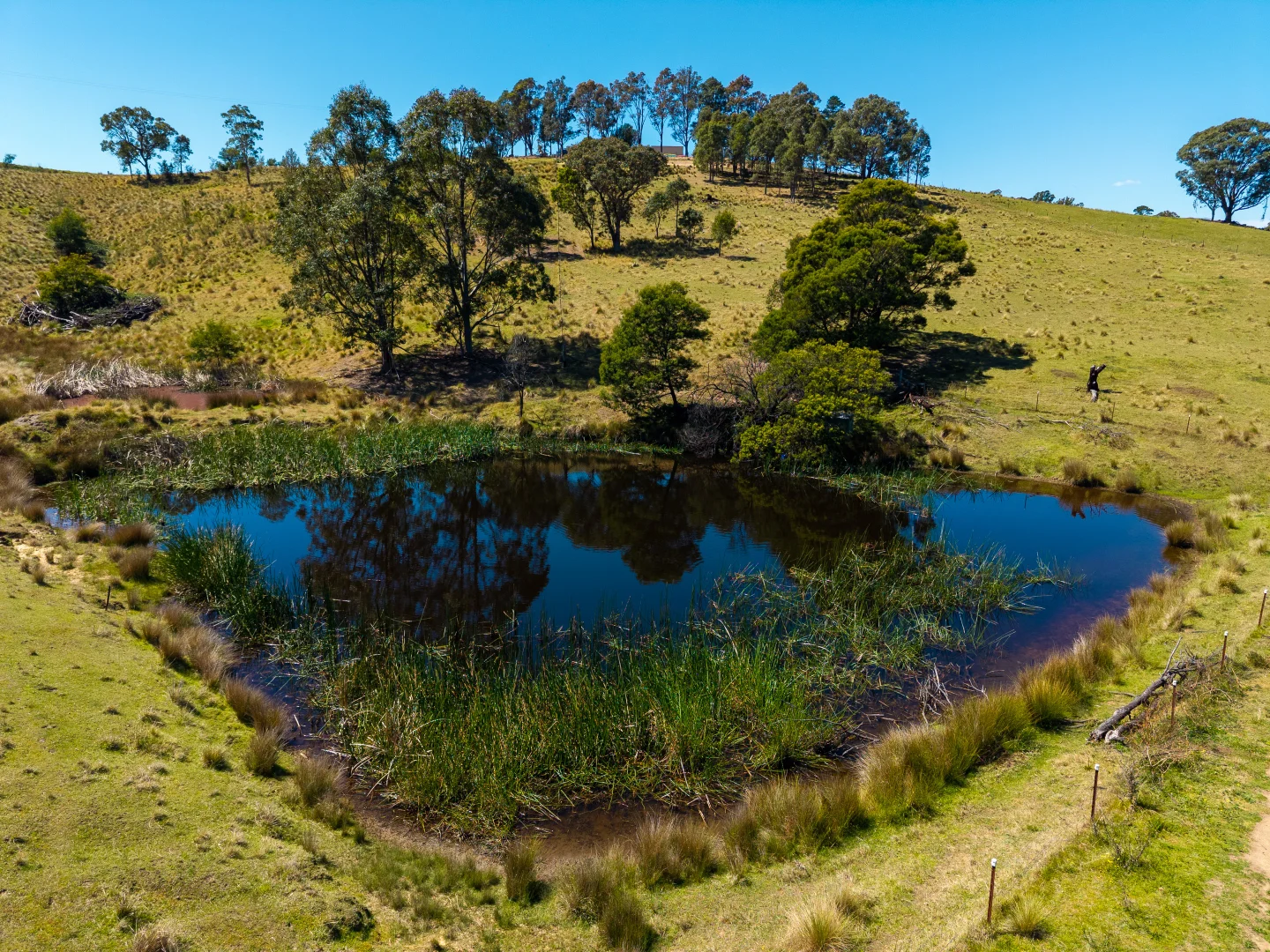 Additional image 19 of 49 Quinlans Road, Verona NSW 2550