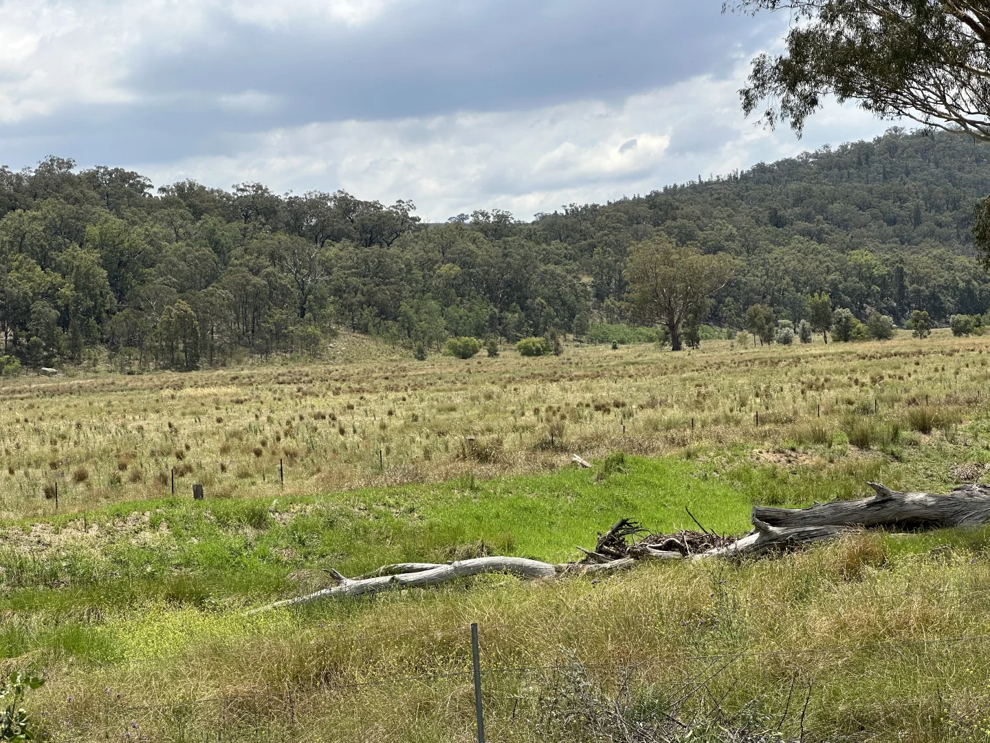 Additional image 21 of Coolah NSW 2843