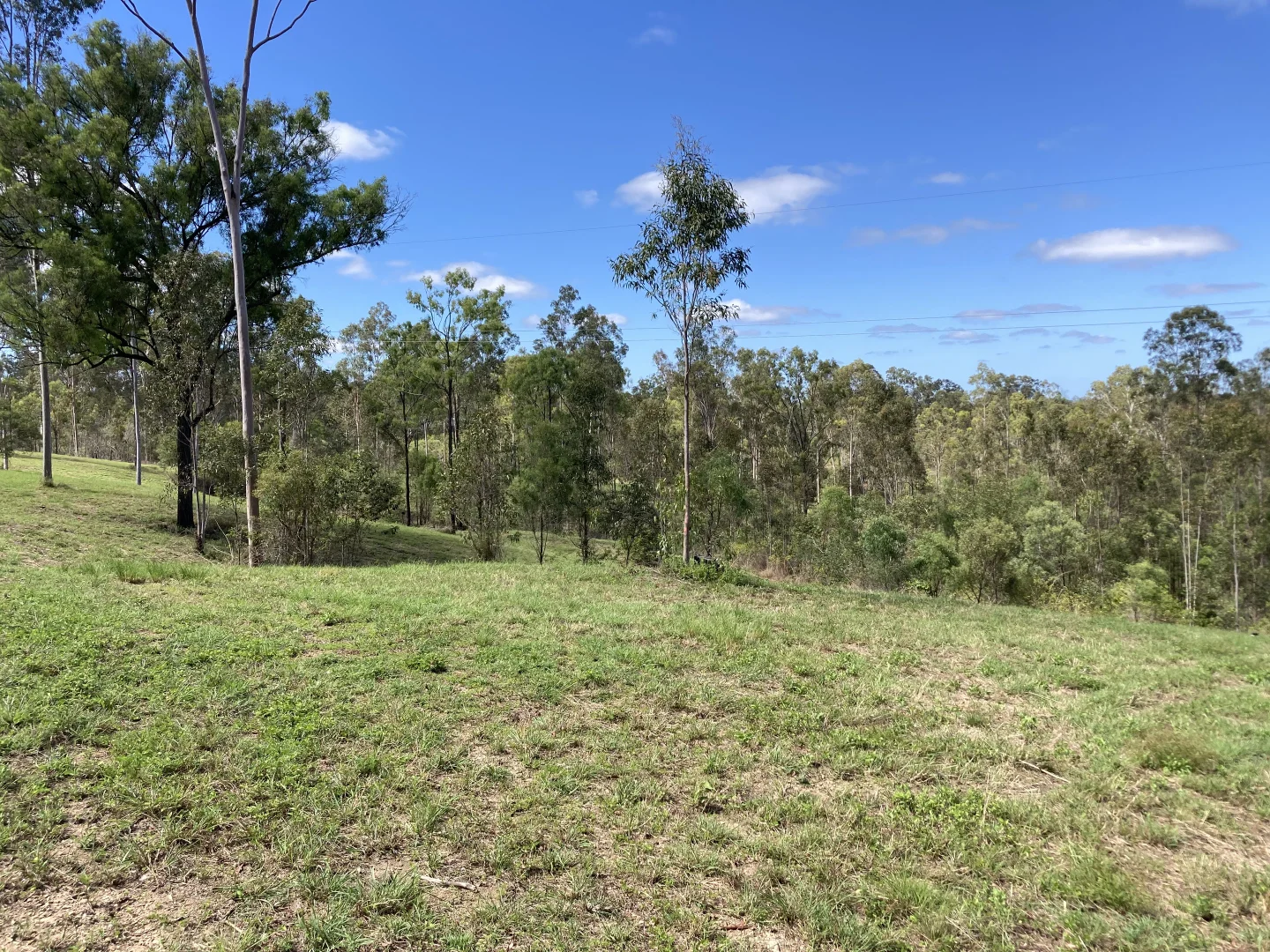 Additional image 34 of 209 Mcintyres Road, Damascus QLD 4671