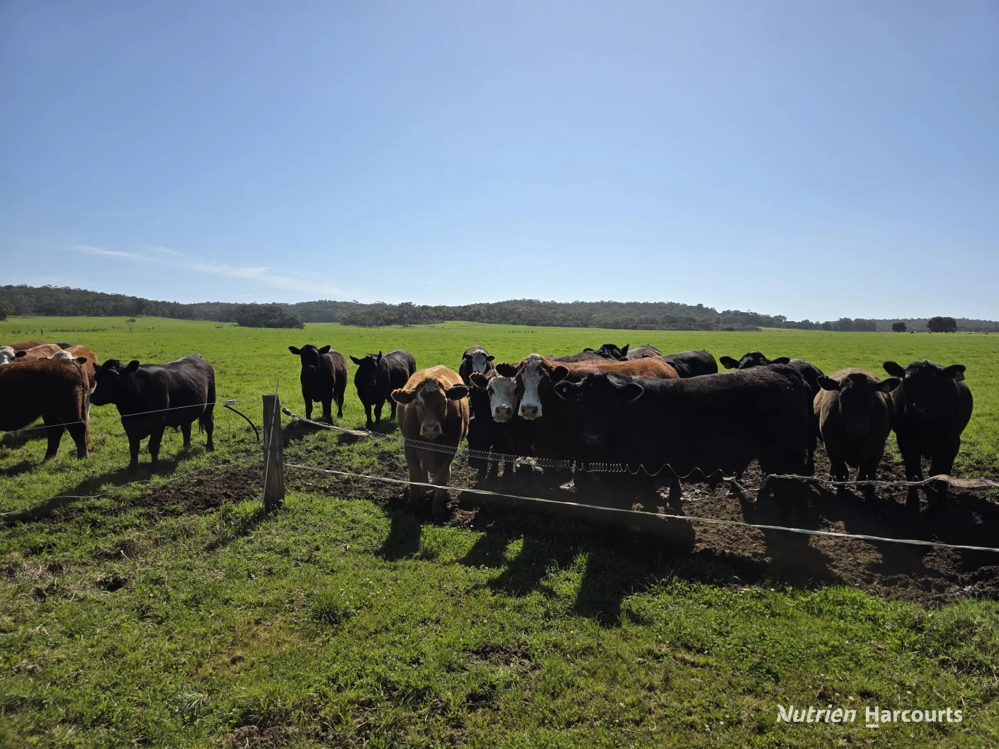 Additional image 2 of 60 Skippings Road, Kordabup WA 6333