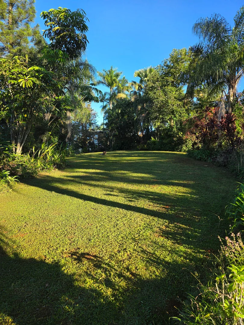 Additional image 27 of 94 Ellinjaa Road, Ellinjaa QLD 4886