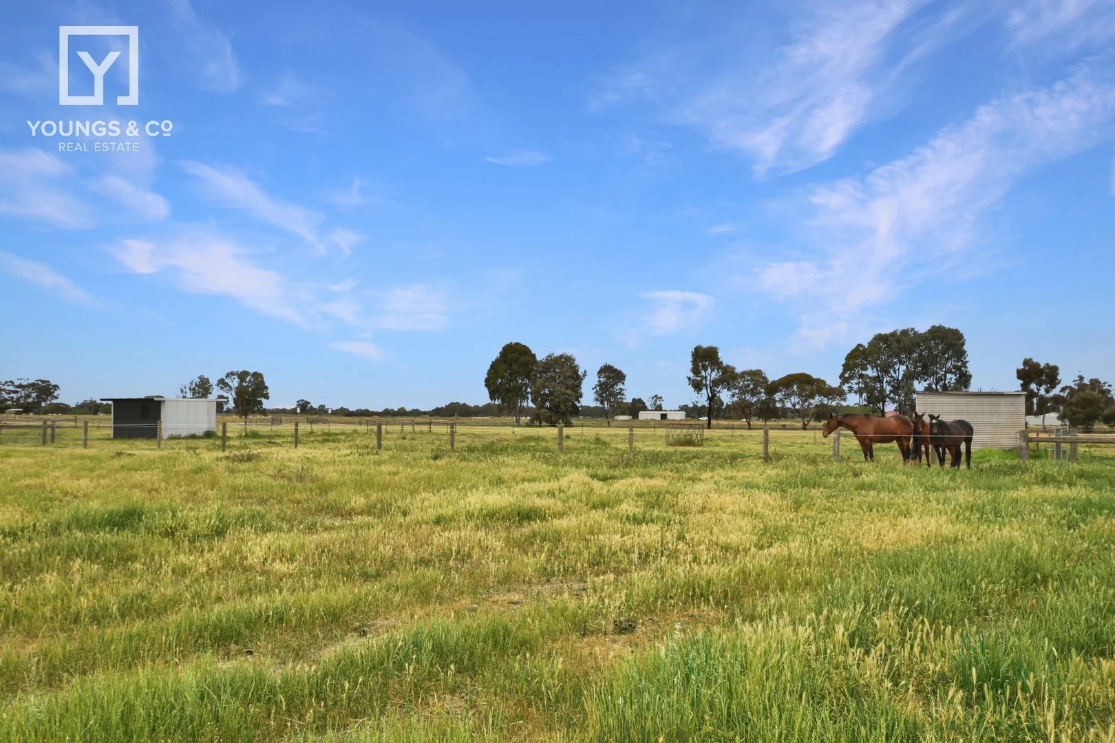 Additional image 17 of 755 Downer Rd, Toolamba VIC 3614