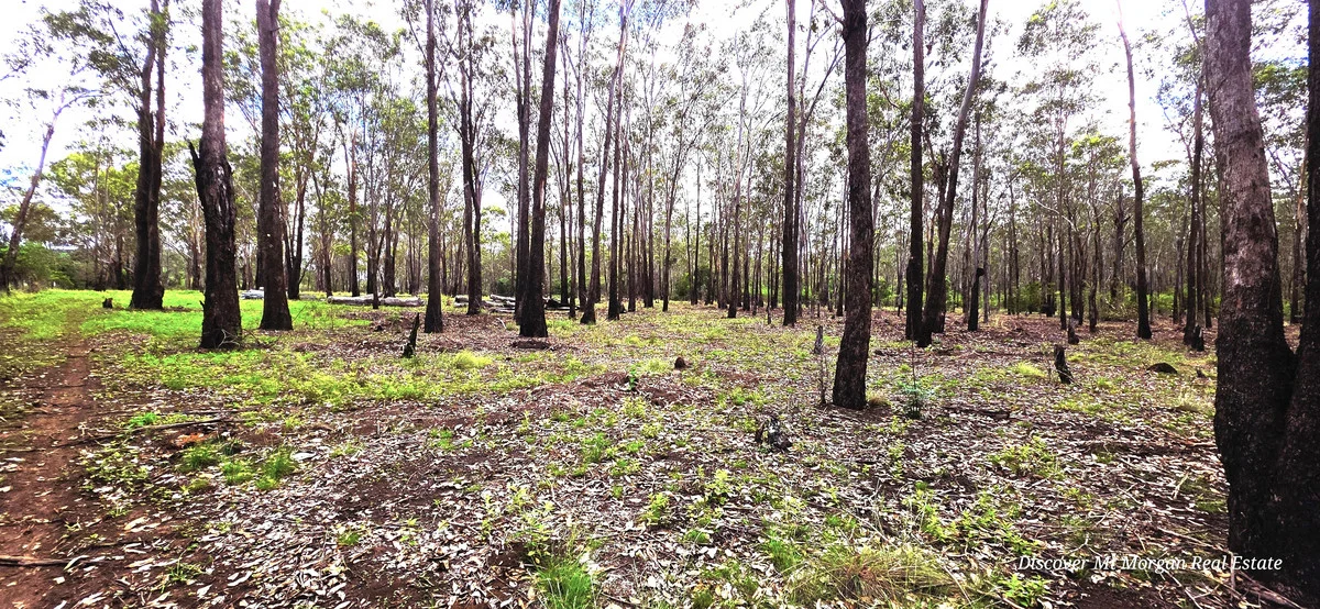 Additional image 4 of 227a Archer Road, Struck Oil QLD 4714