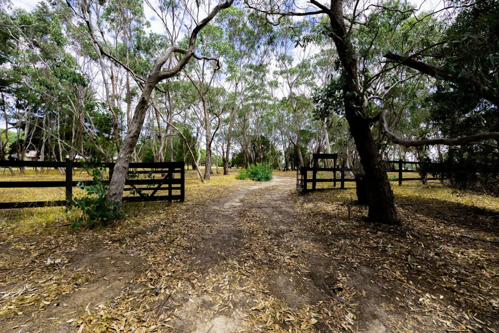 Additional image 5 of Lot 8 Snowgum Road, Dereel VIC 3352