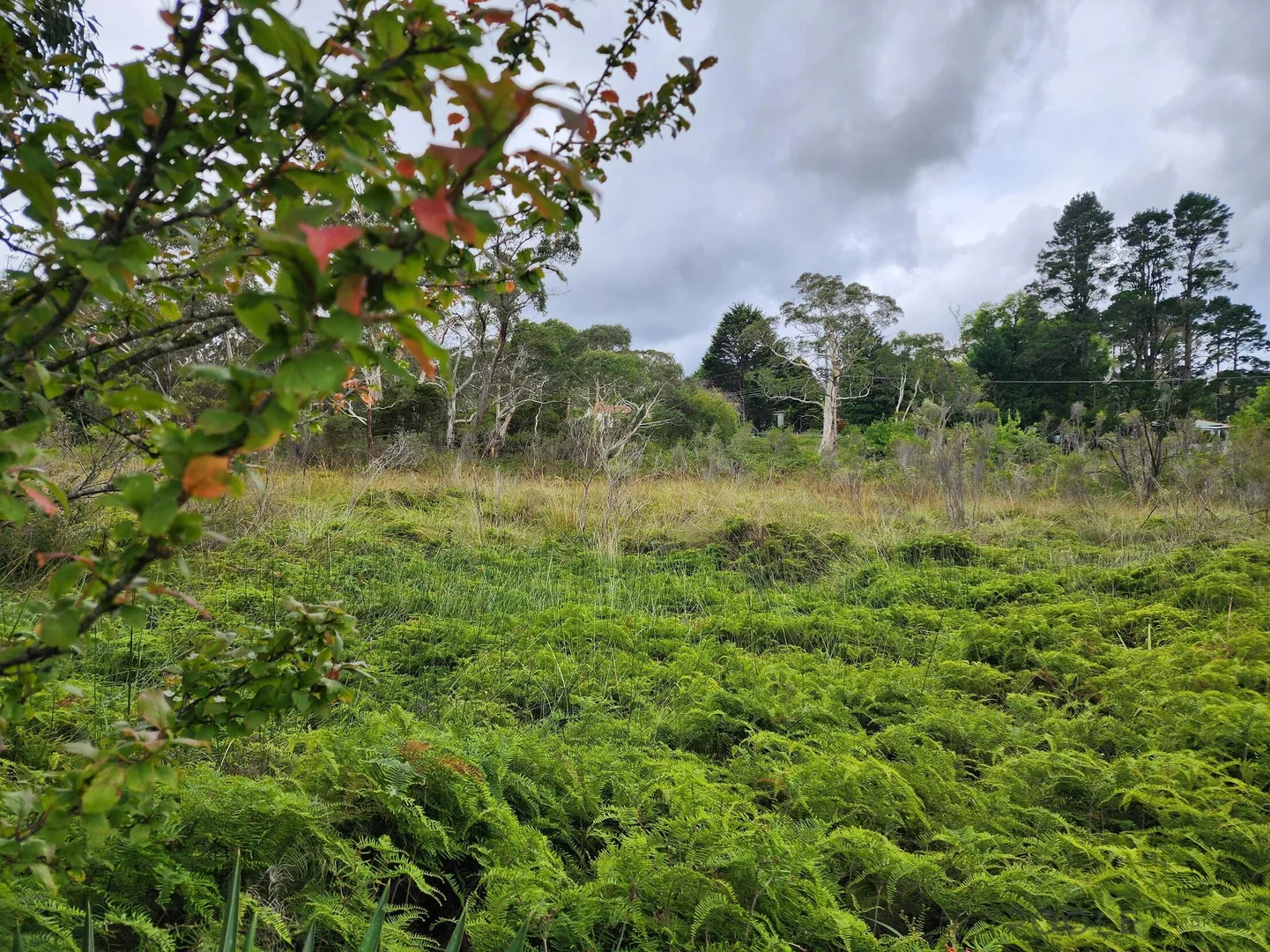 Additional image 6 of Lot 24 Lomandra Place, Katoomba NSW 2780