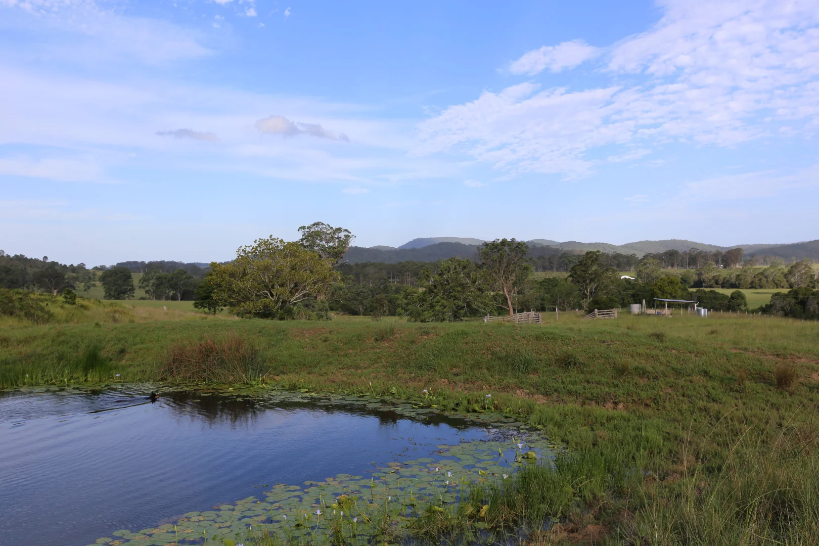 Additional image 8 of 212A Norries Road, Bunyah NSW 2429