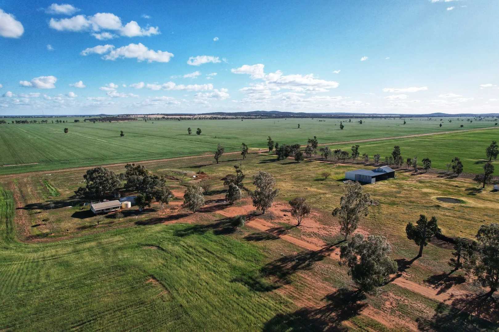 'Laurel Hills' 81 Salters Road, Condobolin NSW 2877