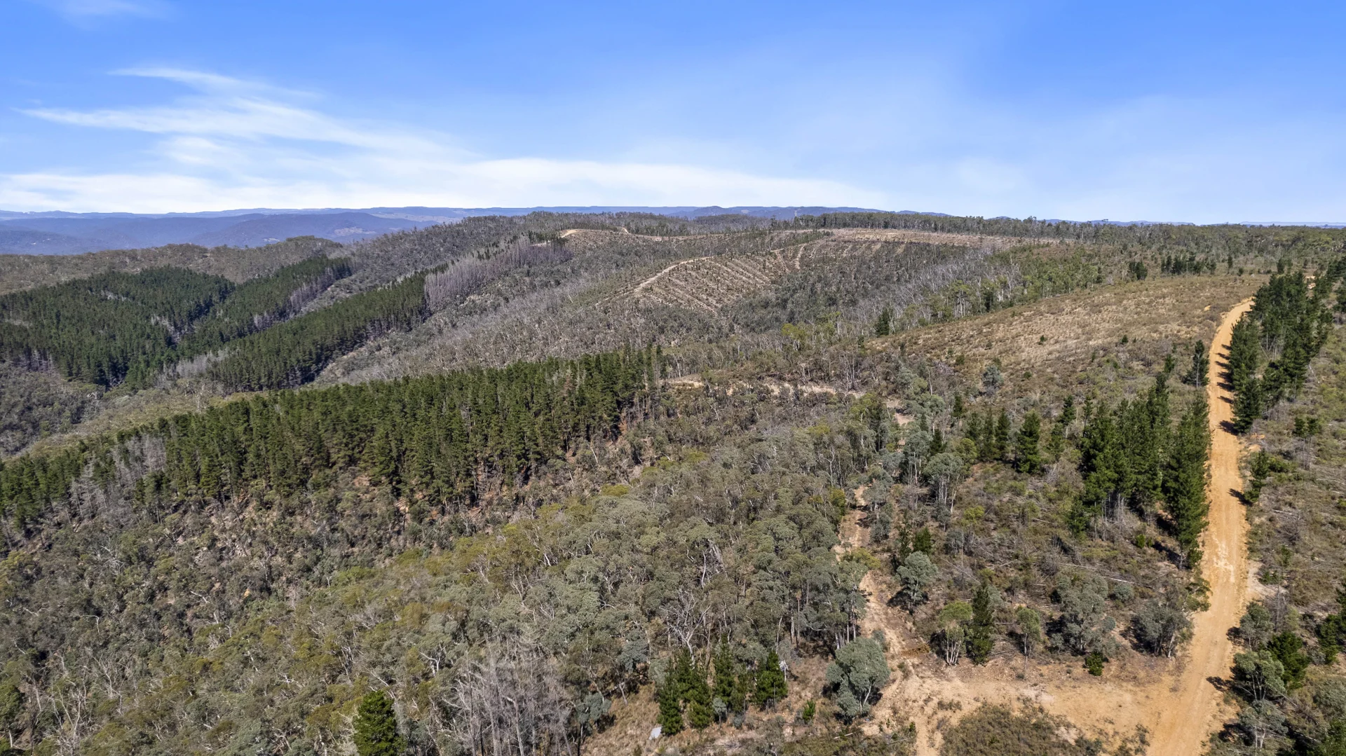 Additional image 11 of 267 New Olivers Road, Running Stream NSW 2850