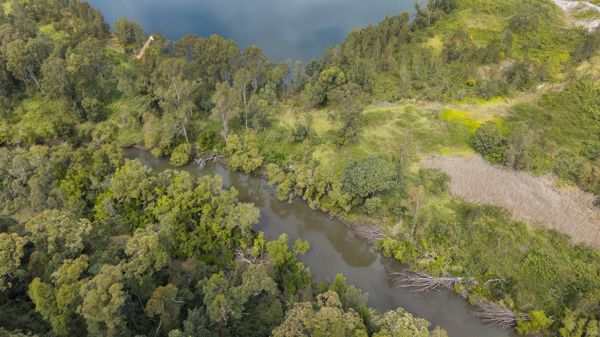 Additional image 25 of 155-175 Brygon Creek Drive, Upper Coomera QLD 4209