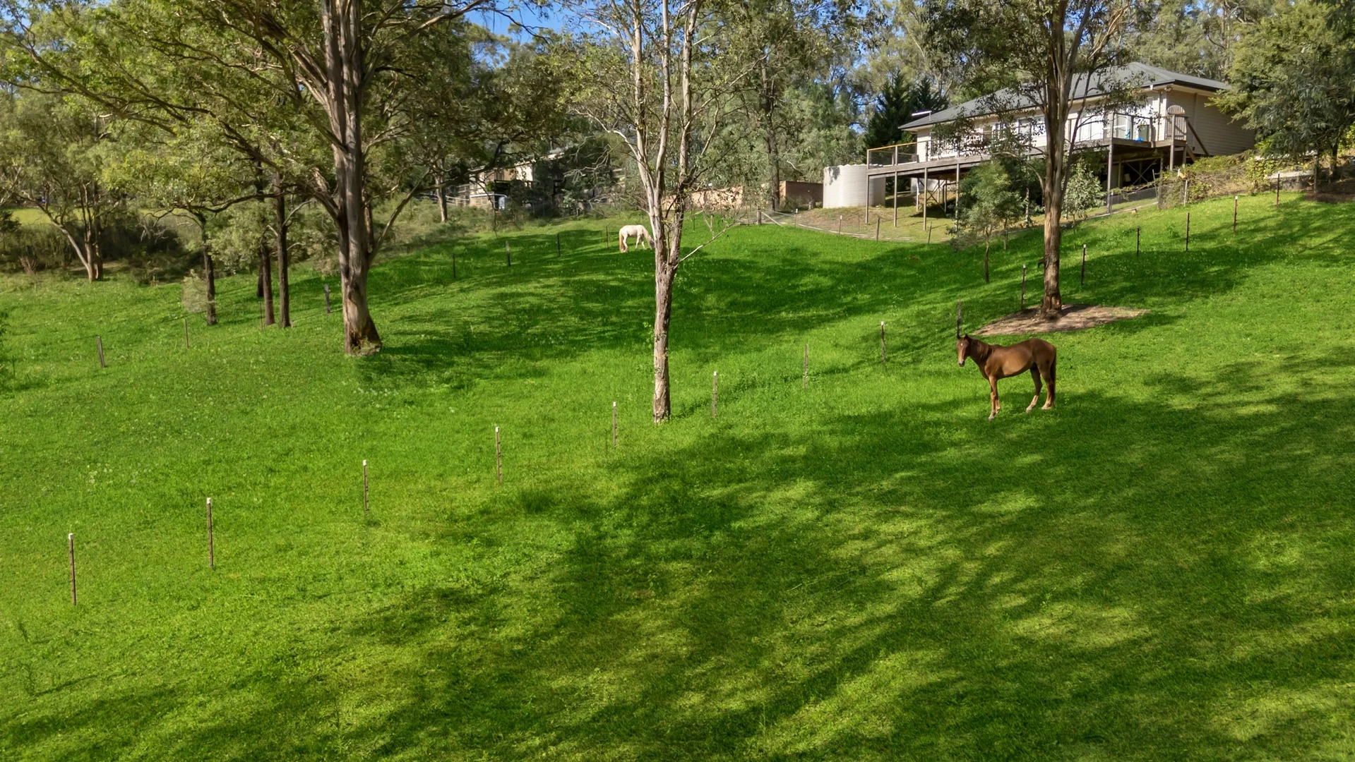 Additional image 11 of 347 Grose Vale Road, Grose Vale NSW 2753