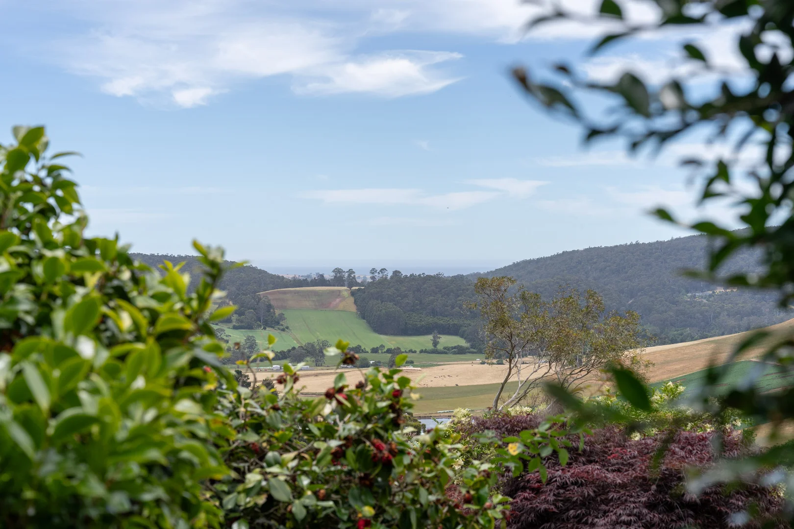 Additional image 28 of 74 Morris Rd, Melrose TAS 7310