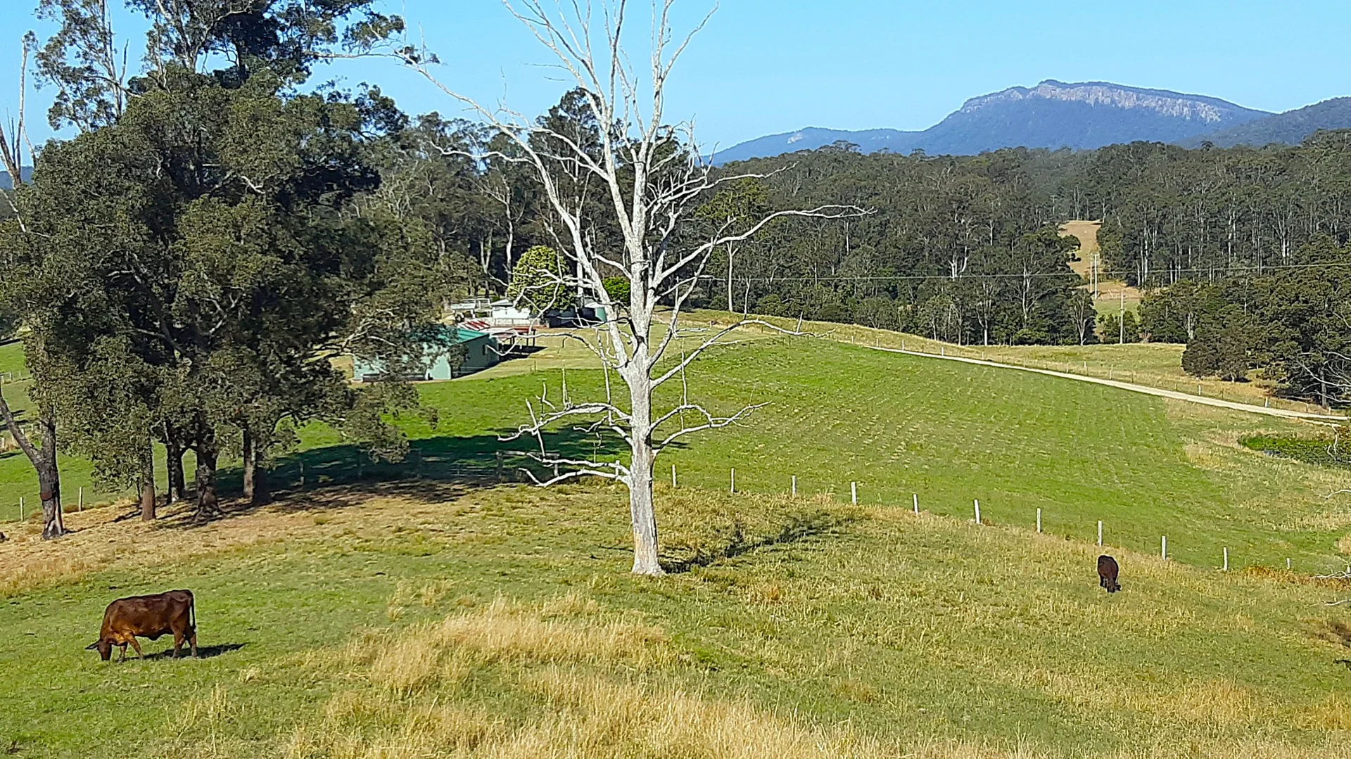 Additional image 18 of Byabarra NSW 2446