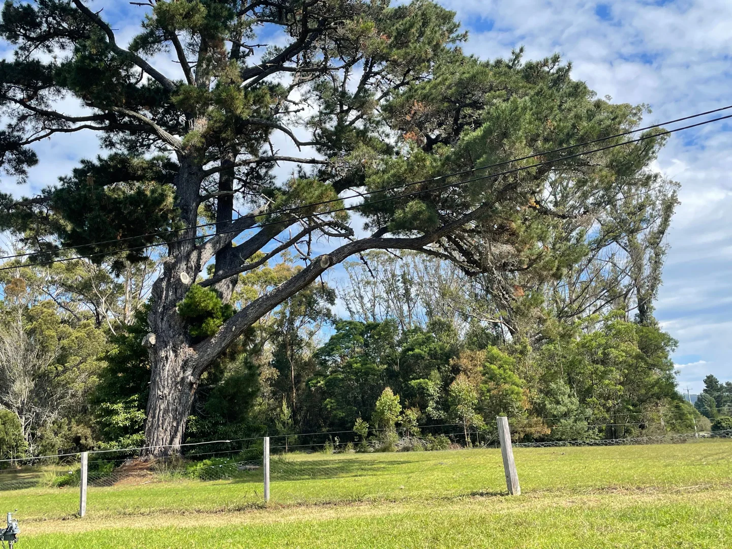 Additional image 11 of 25 Landing Road, Broadwater NSW 2549