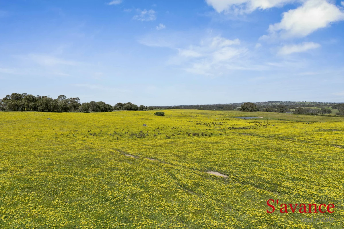 Additional image 13 of 110 Schrapels Road, Mount Pleasant SA 5235