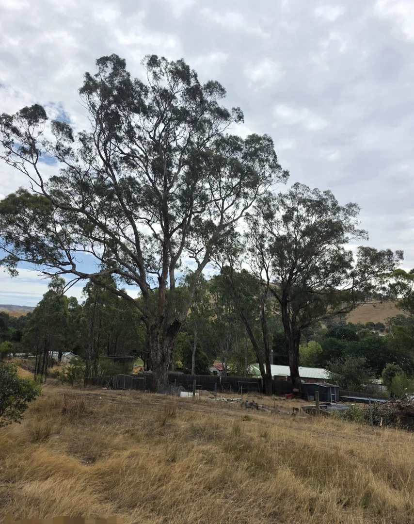 Additional image 12 of 14 Ferguson Street, Strath Creek VIC 3658