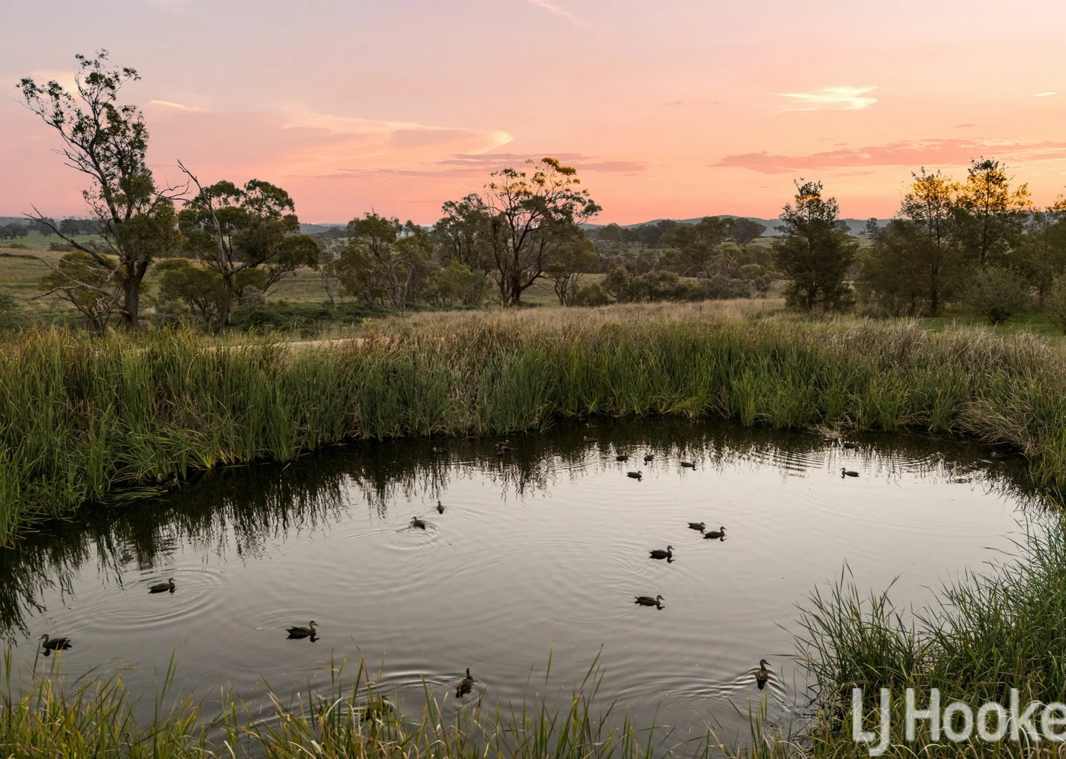 Additional image 3 of 59 Marion Close, Wimbledon NSW 2795