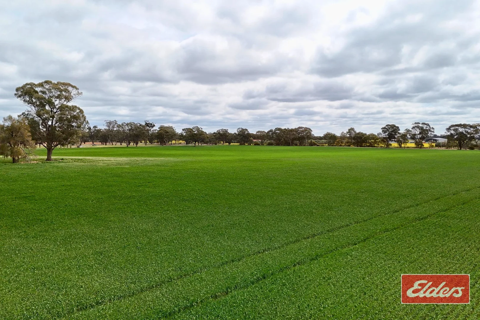 Additional image 3 of 937 Ham Road, Moama NSW 2731
