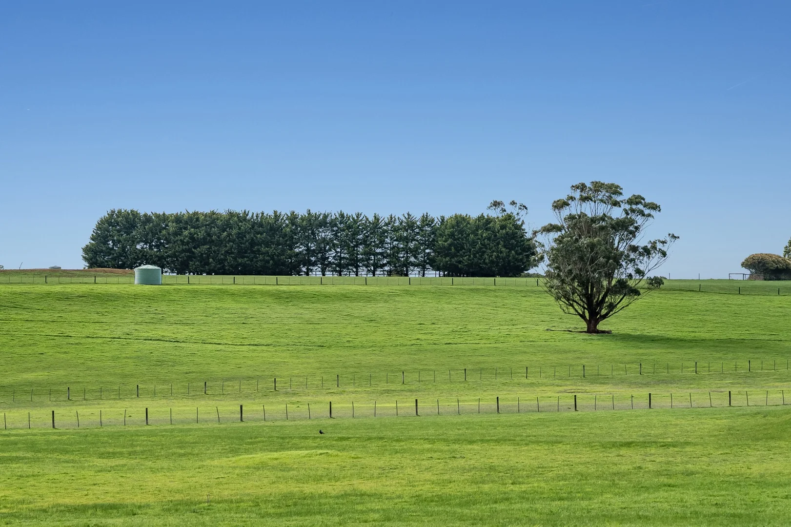 Additional image 9 of 60 Pennyroyal Valley Road, Deans Marsh VIC 3235