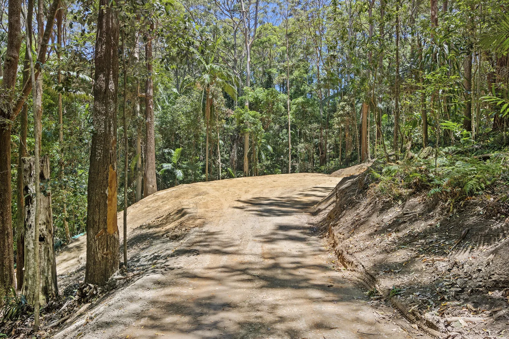 Additional image 5 of 127 Wongawallan Road, Tamborine Mountain QLD 4272