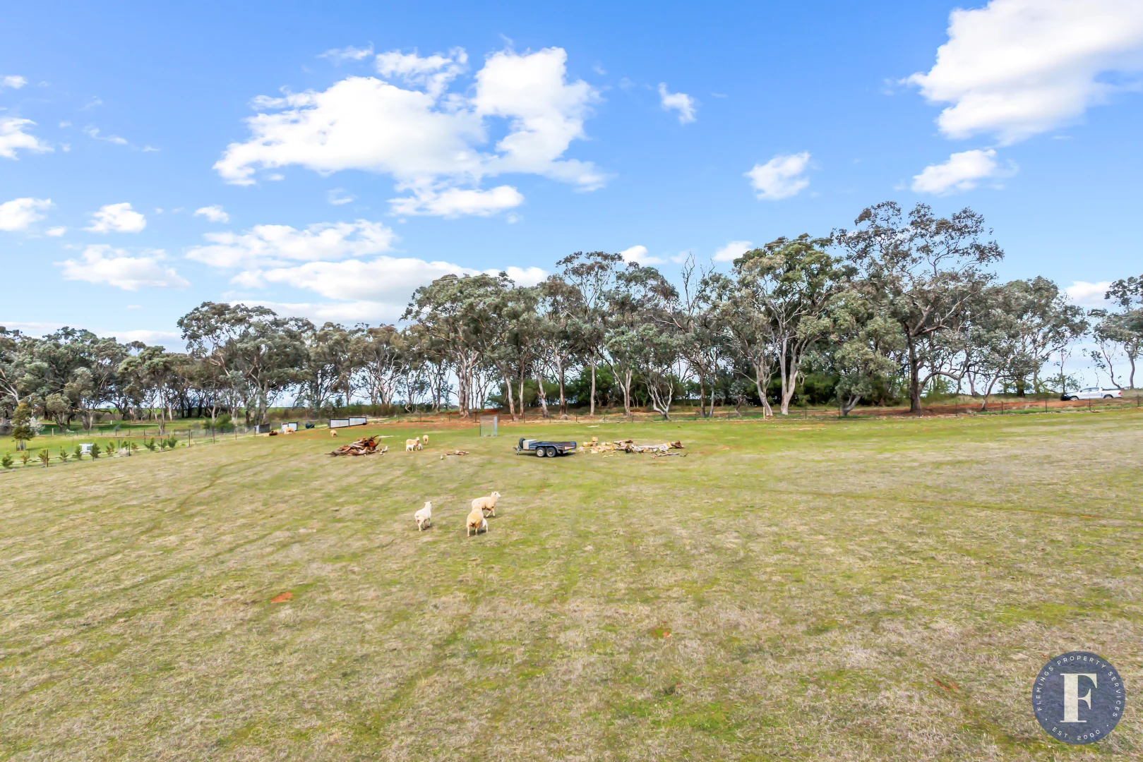 Additional image 5 of 114 Boundary Road, Young NSW 2594