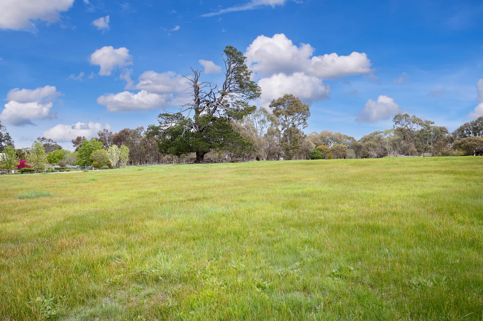 Additional image 7 of 25-27 Lyons Street, Skipton VIC 3361