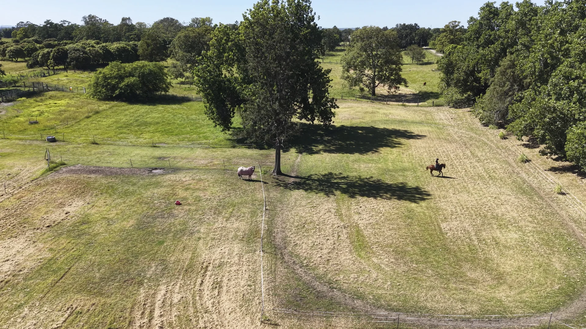 Additional image 28 of 10 Butterfactory Lane, Carrs Creek NSW 2460