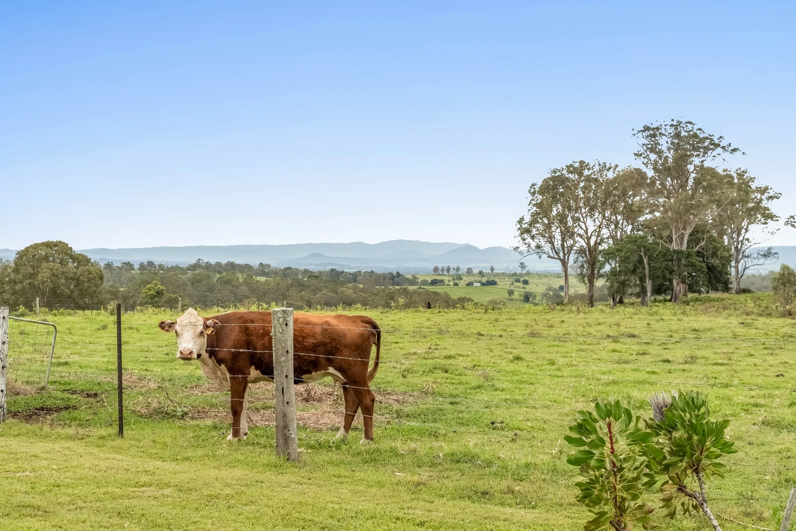 Additional image 26 of 4498 Bruxner Highway, Piora NSW 2470
