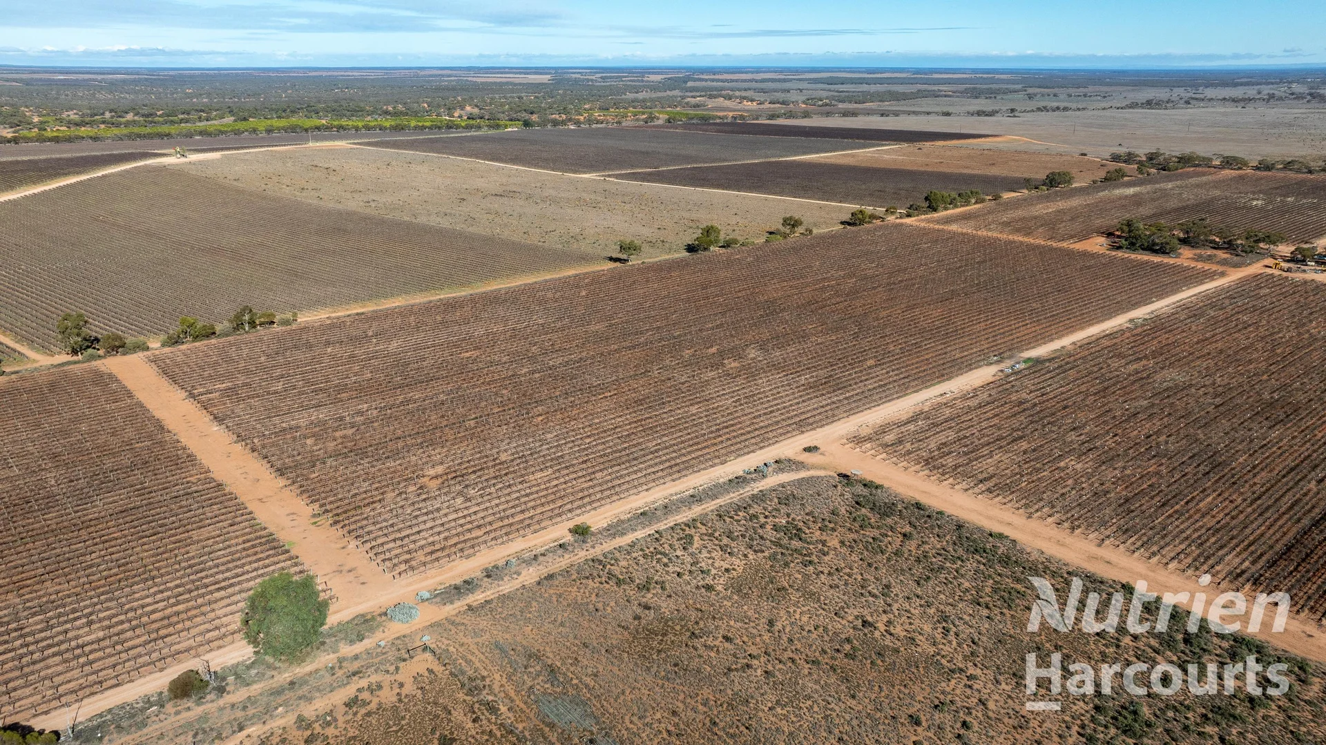 Additional image 8 of 126 Riverboat Road, Cadell SA 5321