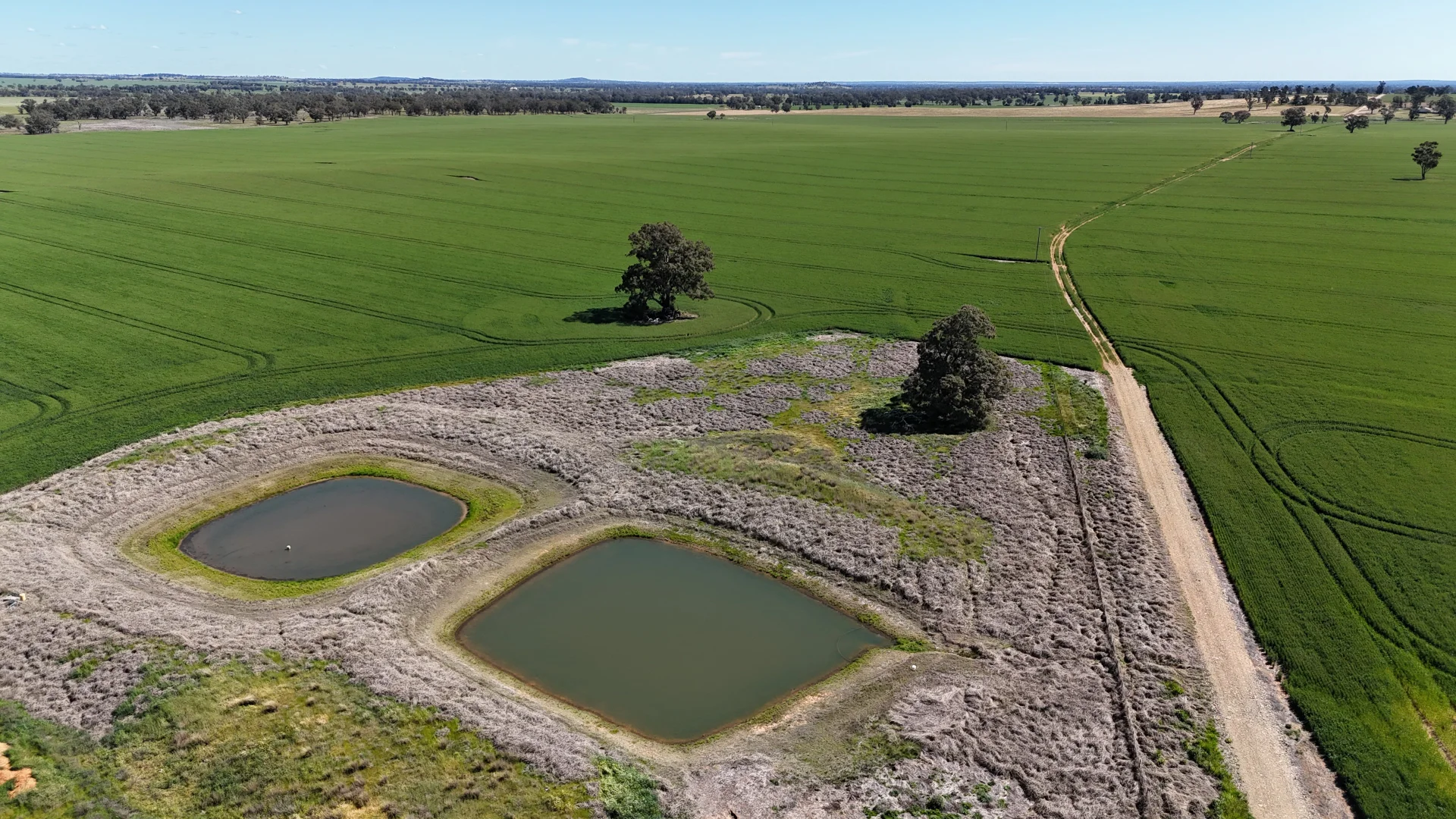 Additional image 16 of 861 Kadina Road, Parkes NSW 2870