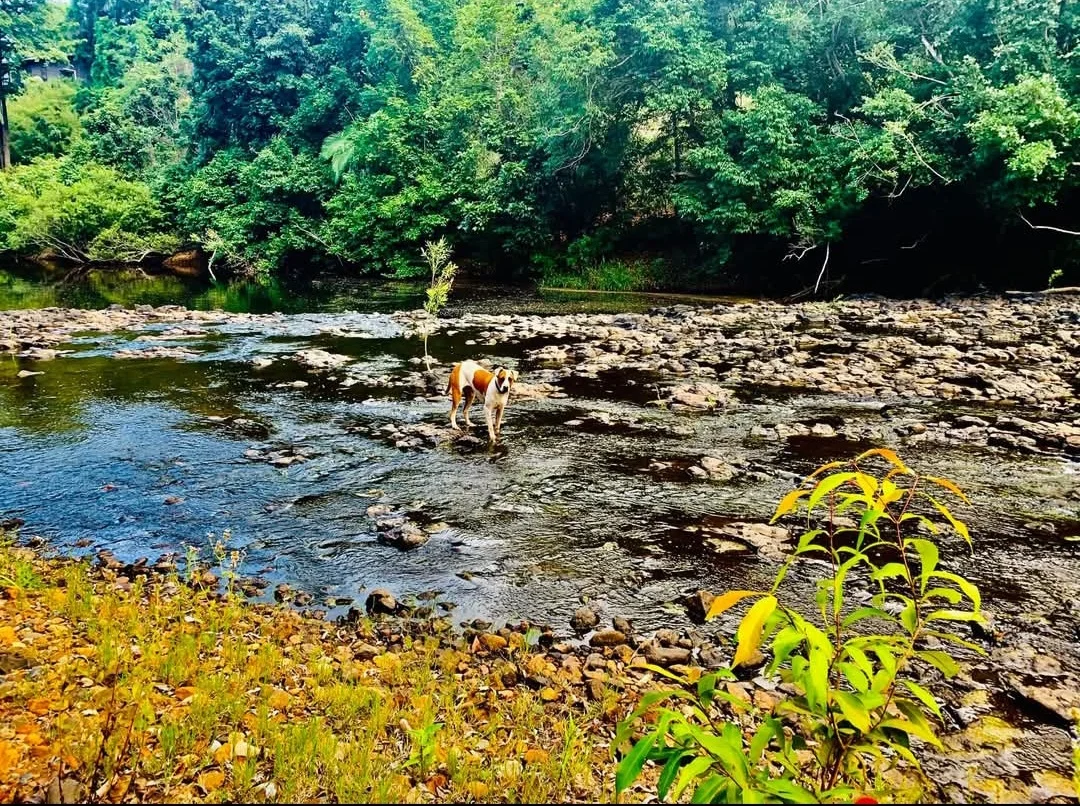 Lot 45 Jensens Crossing Rd, Cooktown QLD 4895