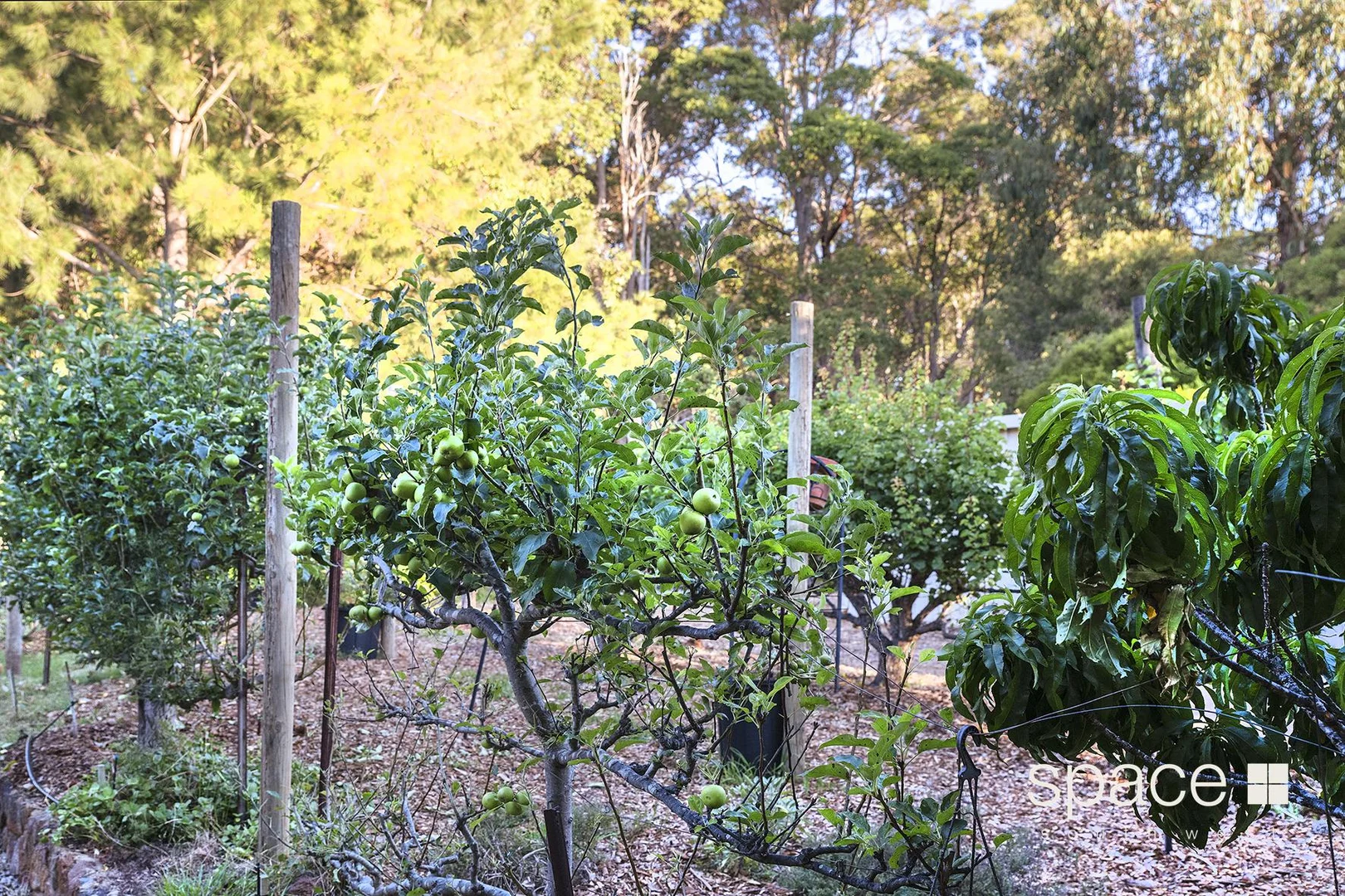 Additional image 21 of 27 Hermitage Drive, Margaret River WA 6285