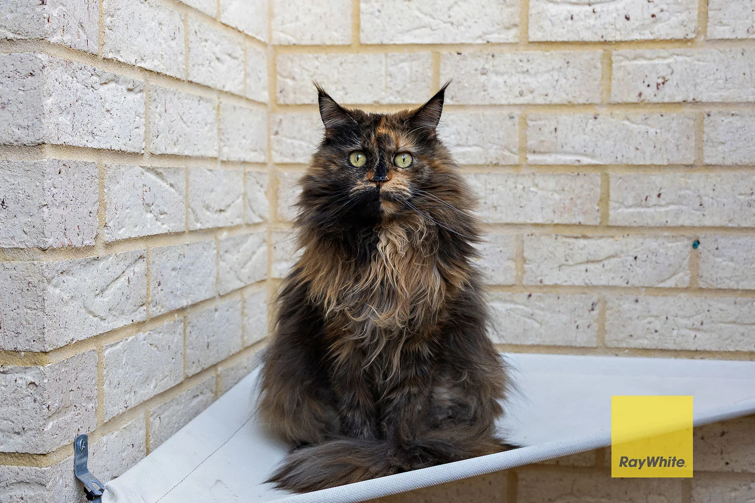 Additional image 27 of 17 Ferrara Way, Girrawheen WA 6064