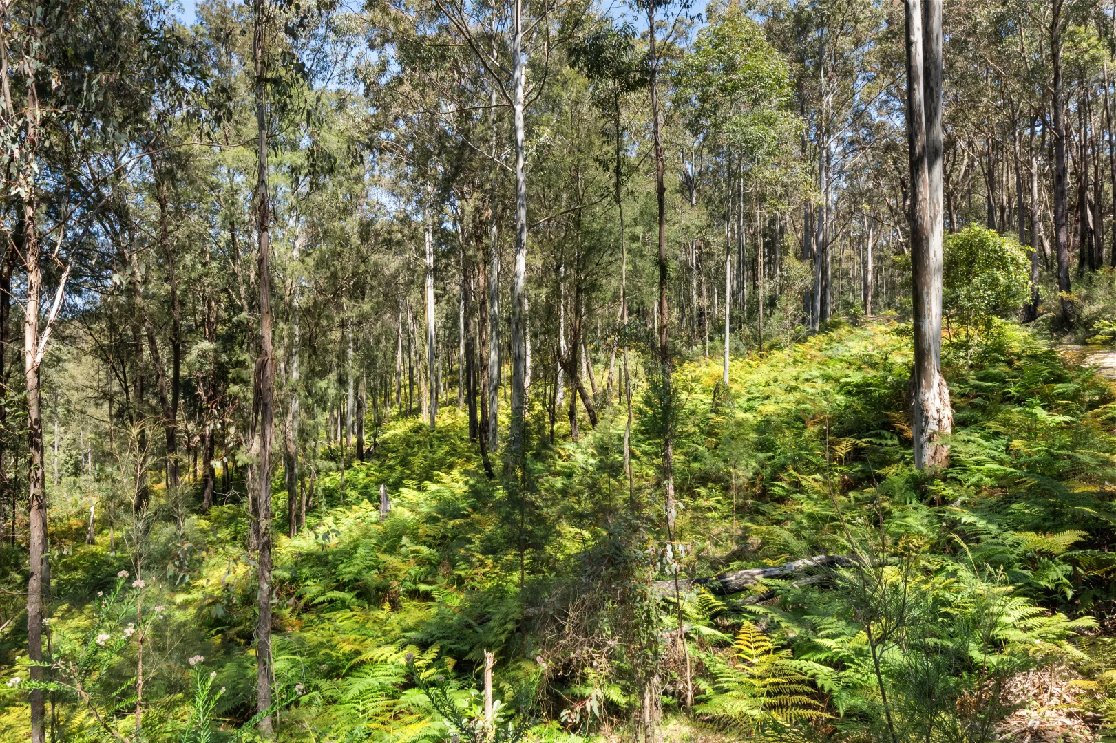 Additional image 8 of 1058 Bakers Road, Putty NSW 2330