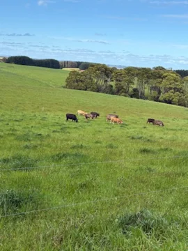 Additional image 4 of 226 Hursts Road, Lileah TAS 7330