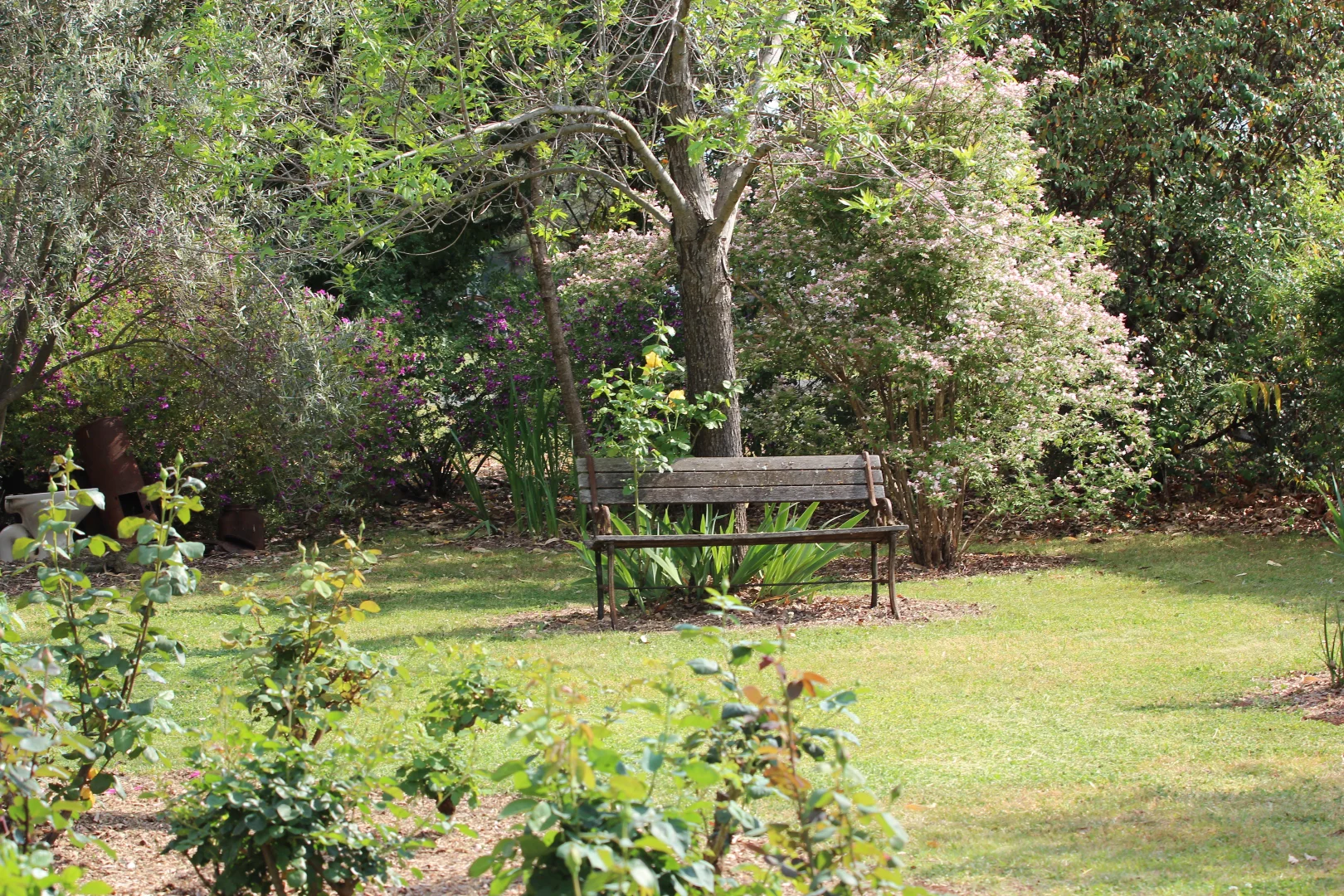 Additional image 21 of 121 Orchard Place, Inverell NSW 2360